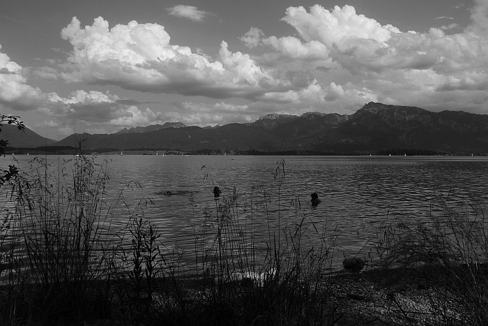 Forggensee